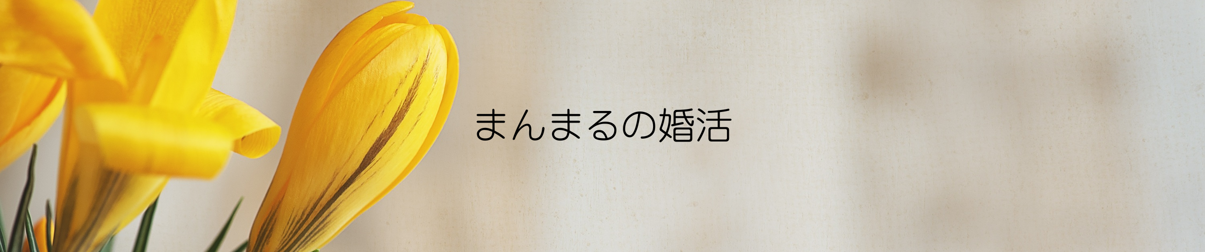 まんまるの婚活